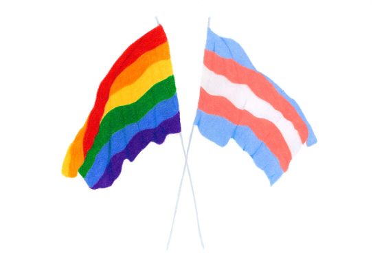 The Flags Flags